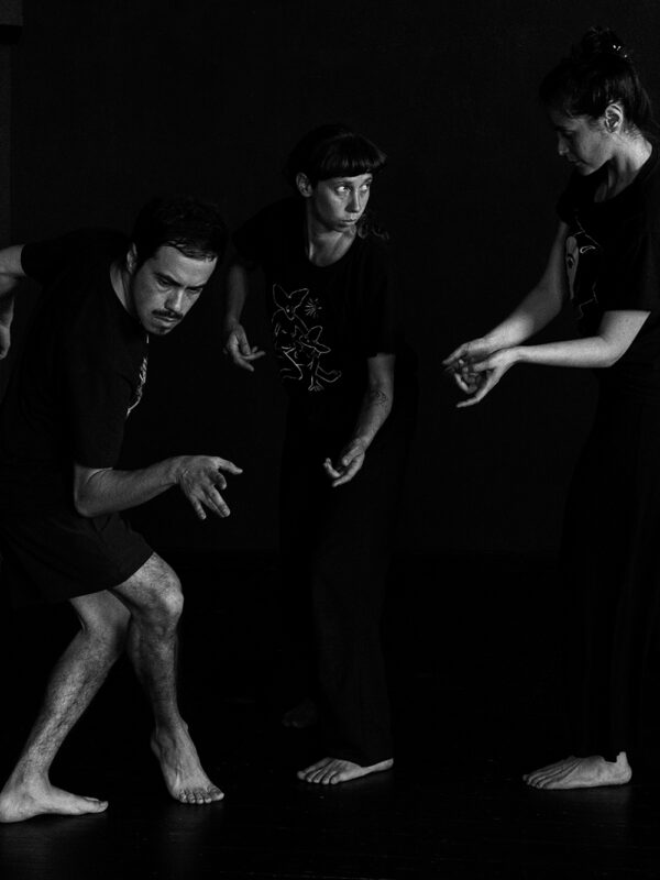 Embodying Translation